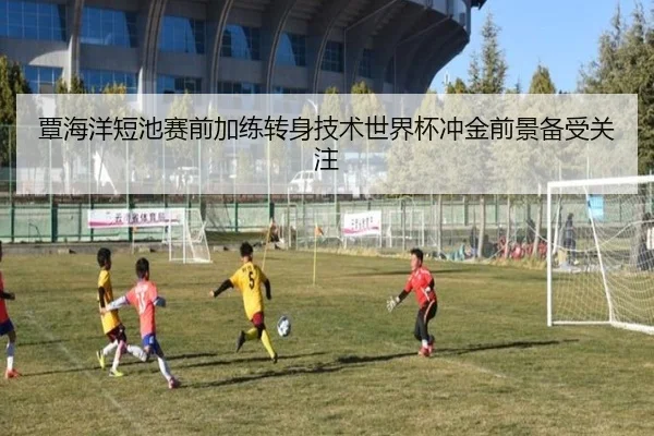 覃海洋短池赛前加练转身技术世界杯冲金前景备受关注